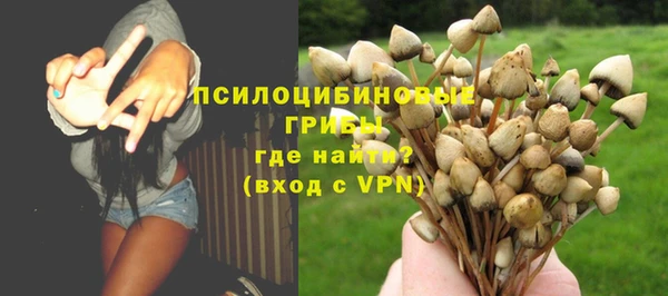 тгк Покровск
