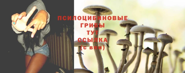 бутират Пересвет