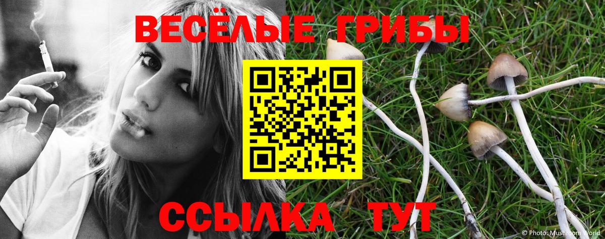 Галлюциногенные грибы Psilocybe  Вход с VPN  Псилоцибиновые грибы мицелий  Россошь 